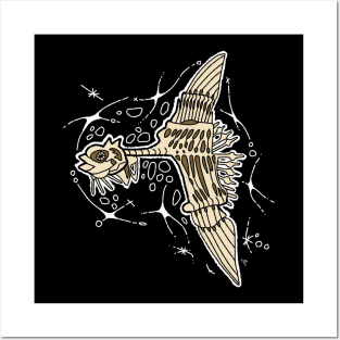 Ocean sunfish, our largest boney boy. Posters and Art